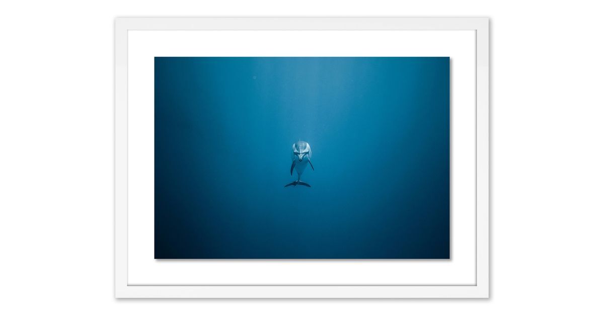 How To Mix Framed Photography With Other Art Mediums