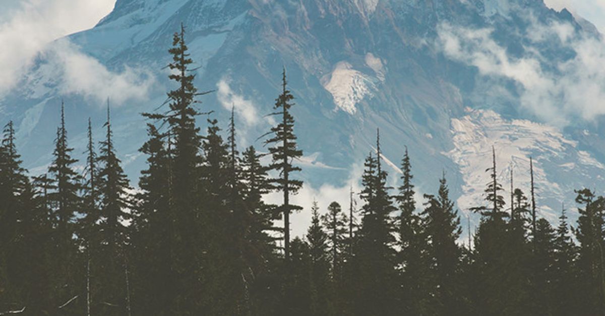 The Differences Between Photographic vs. Fine Art Prints The Differences Between Photographic vs. Fine Art Prints