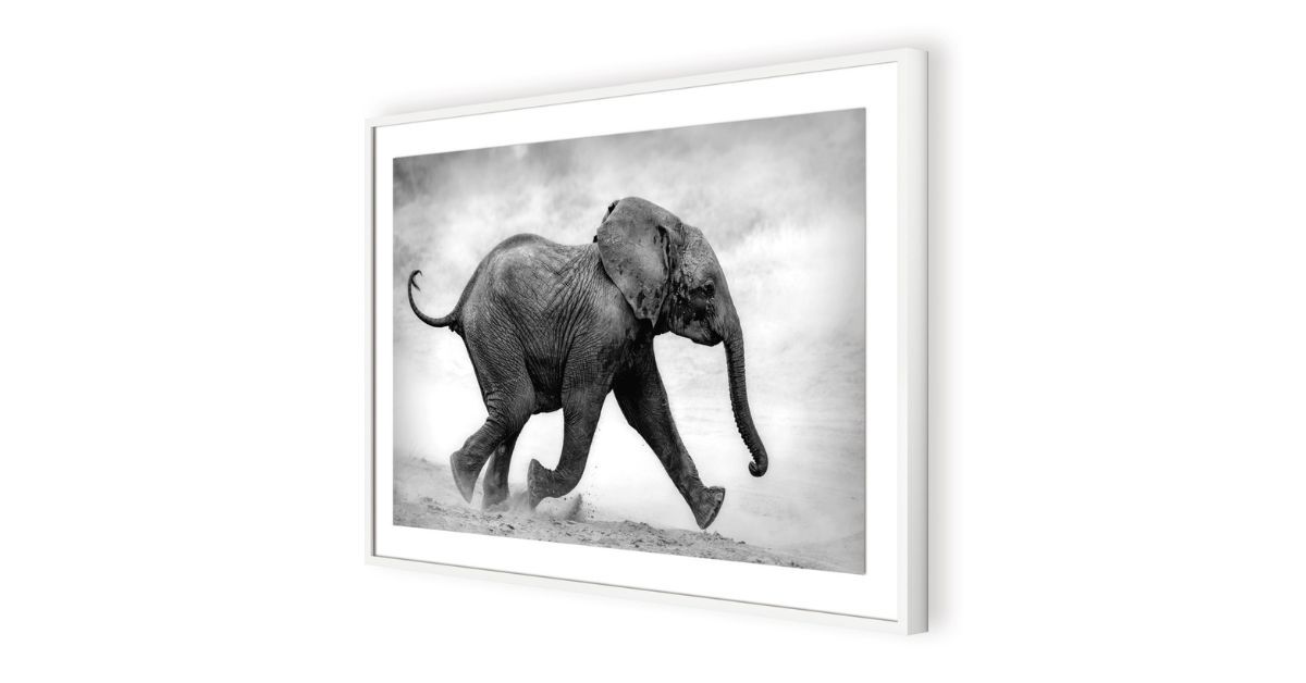 The Ultimate Guide to Framing Your Art Prints